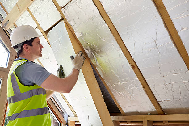Best Insulation Materials and Products in Kotzebue, AK